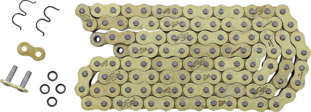 Regina 525 HPE - Drive Chain - 110 Links
