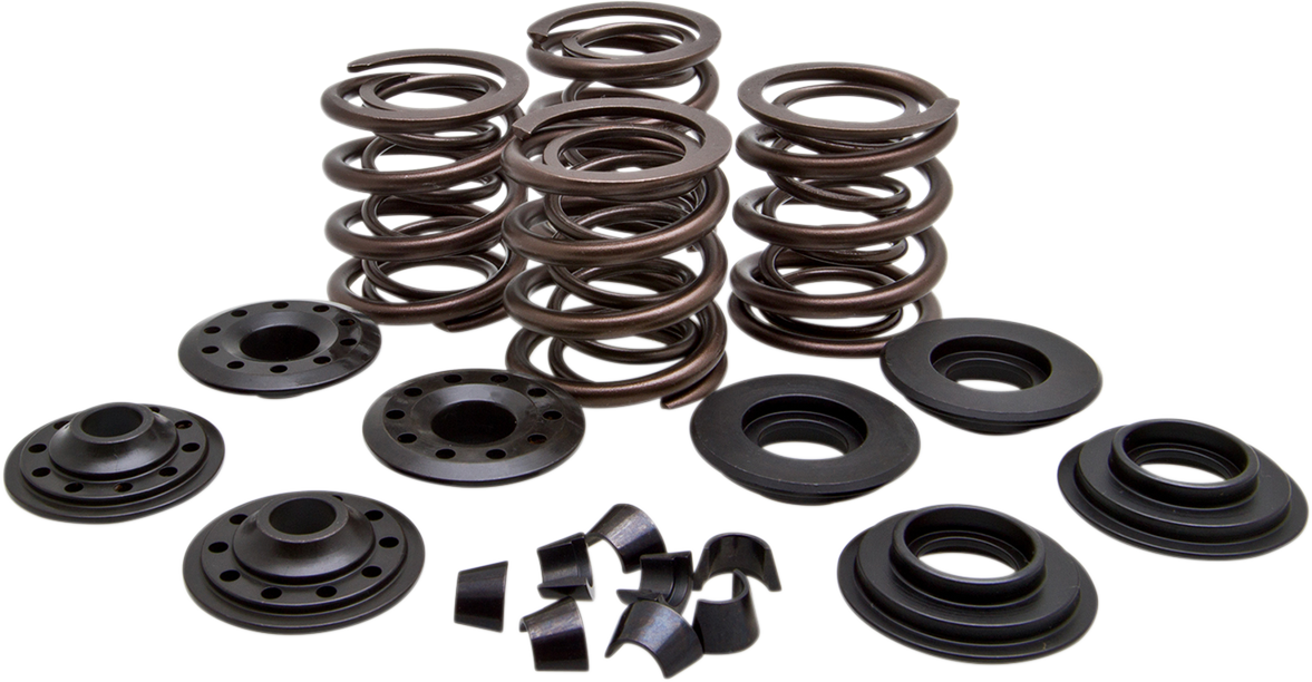 KIBBLEWHITE Racing Valve Spring Kit