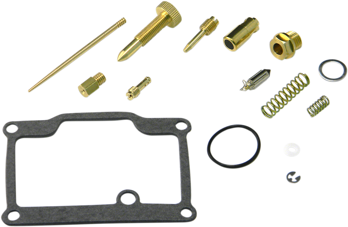 Carburetor Repair Kit