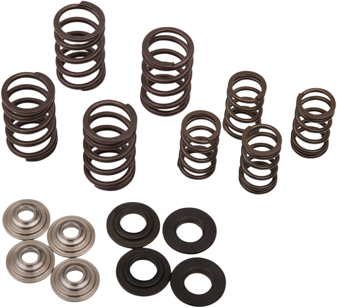 Valve Spring Kit
