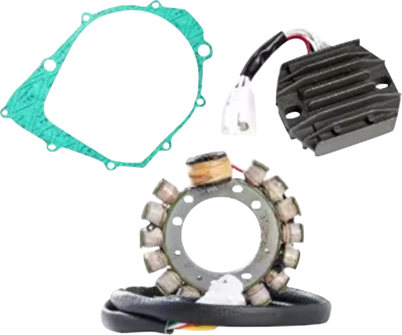 RICK'S MOTORSPORT ELECTRIC Charging Kit