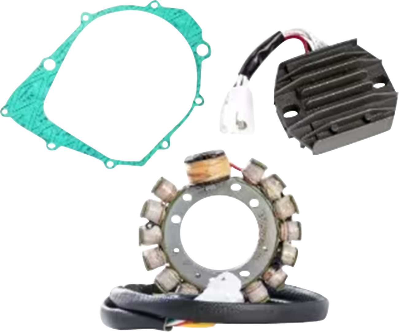 RICK'S MOTORSPORT ELECTRIC Charging Kit