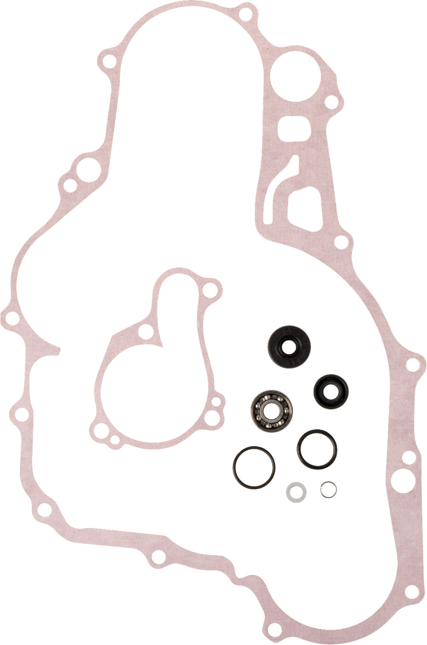 Water Pump Rebuild Kit
