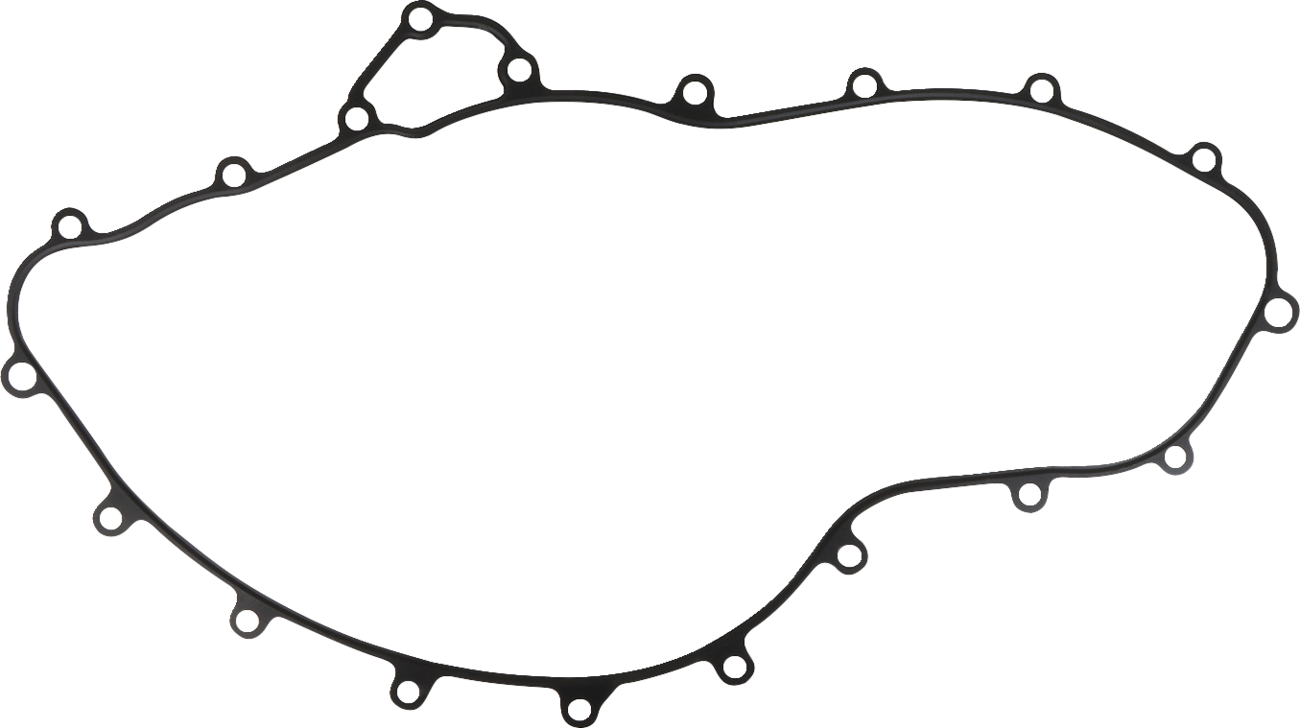 Crankcase Gasket