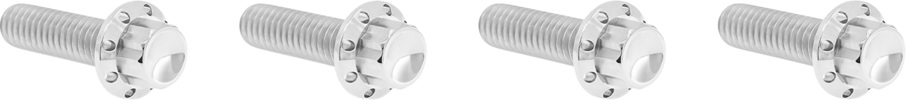 ARLEN NESS Transmission Top Cover Titanium 12-Point Bolt Kit