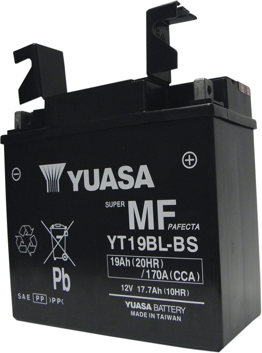 AGM Maintenance-Free Battery