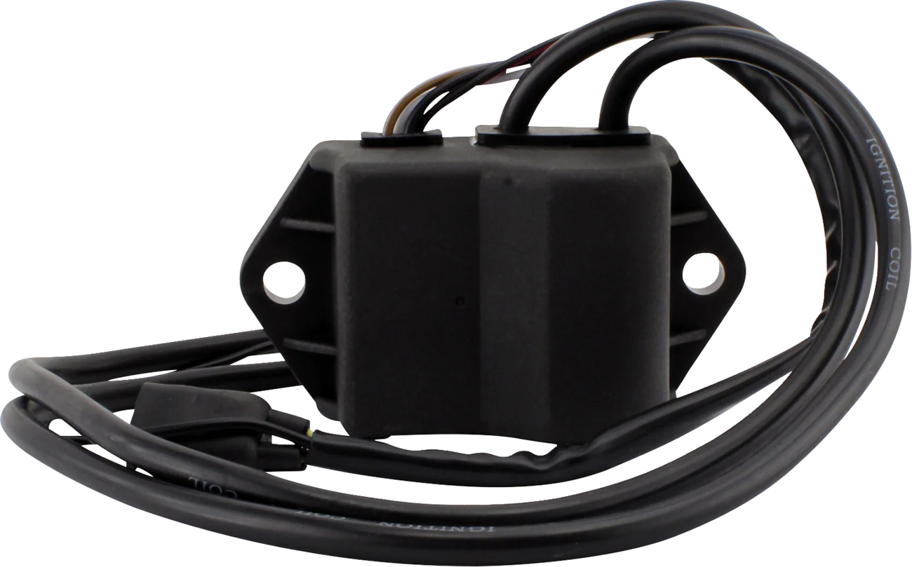 Rm stator Stator and CDI Box Kit - Polaris