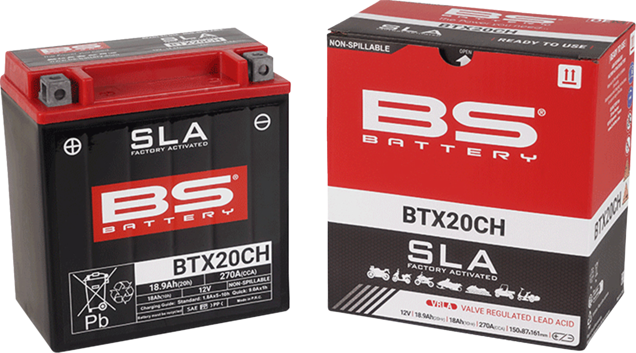 BS BATTERY SLA Factory- Activated AGM Maintenance-Free Battery