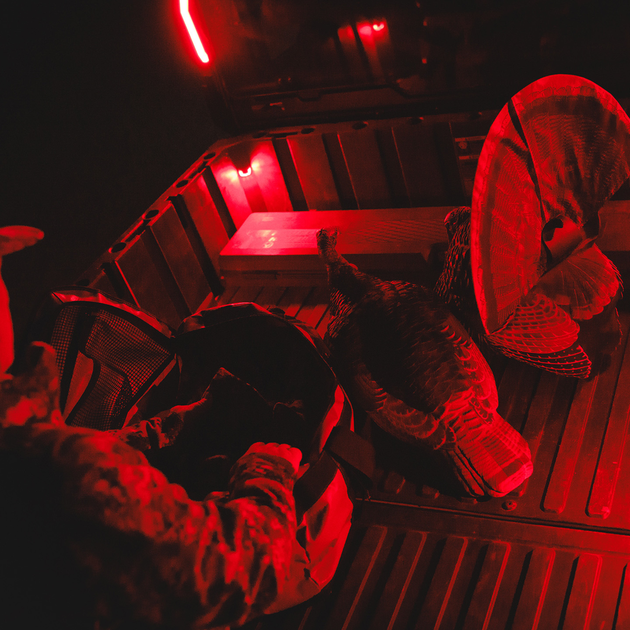 RAVEK Trunk Light