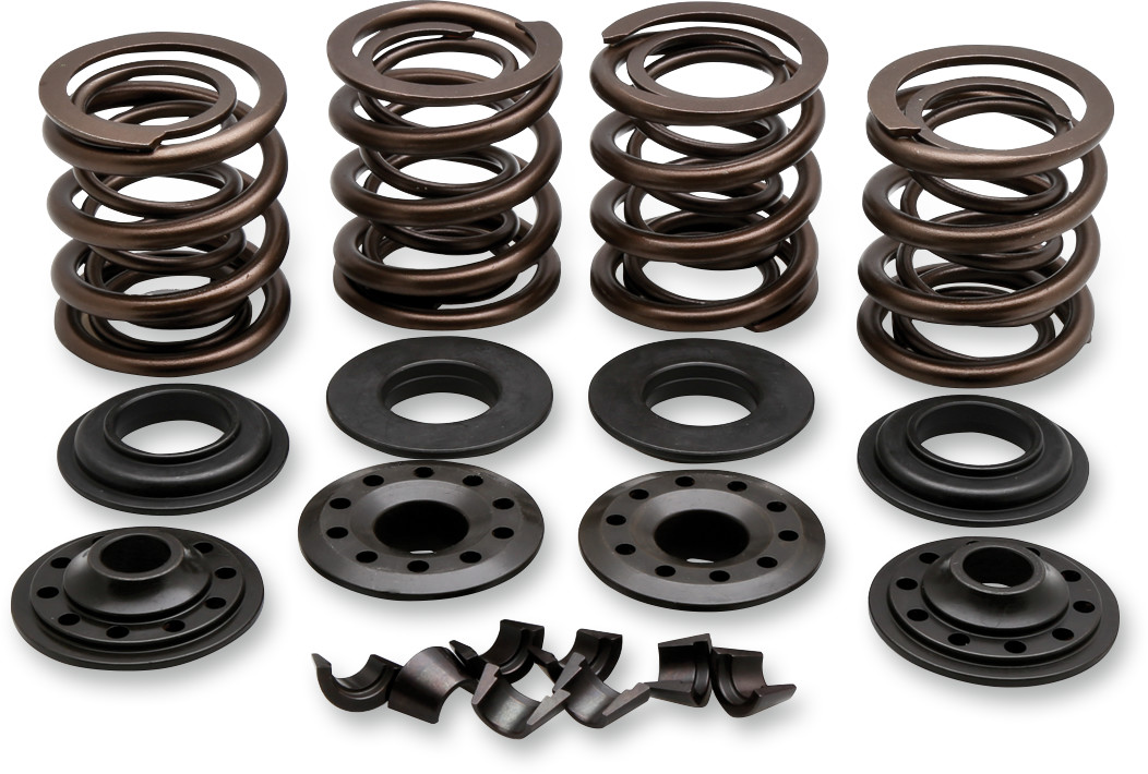 KIBBLEWHITE OEM Replacement Valve Spring Kit
