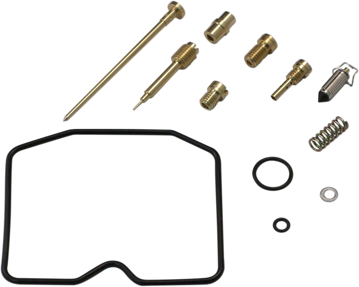 Carburetor Repair Kit