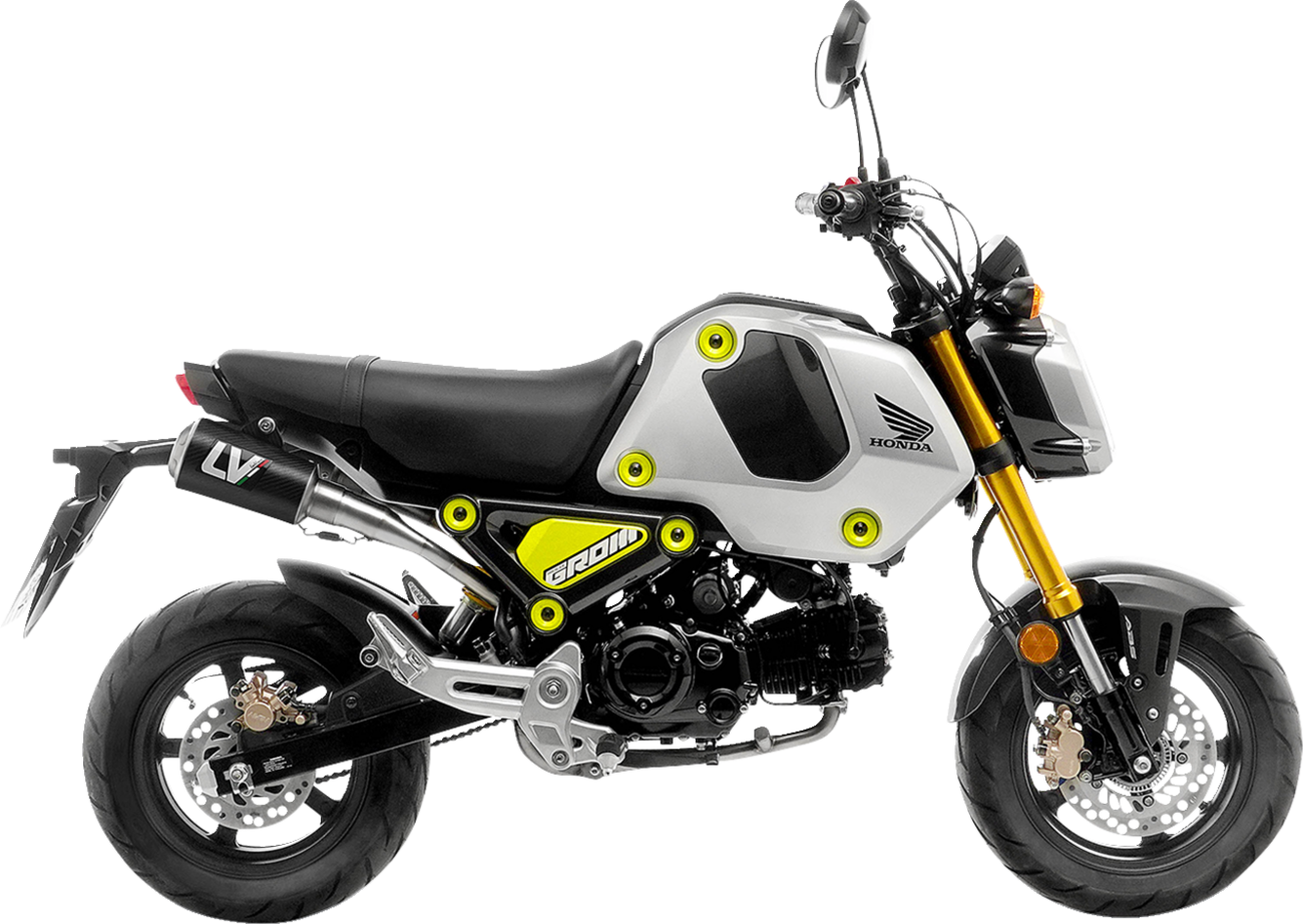 LEOVINCE LV-10 Exhaust System