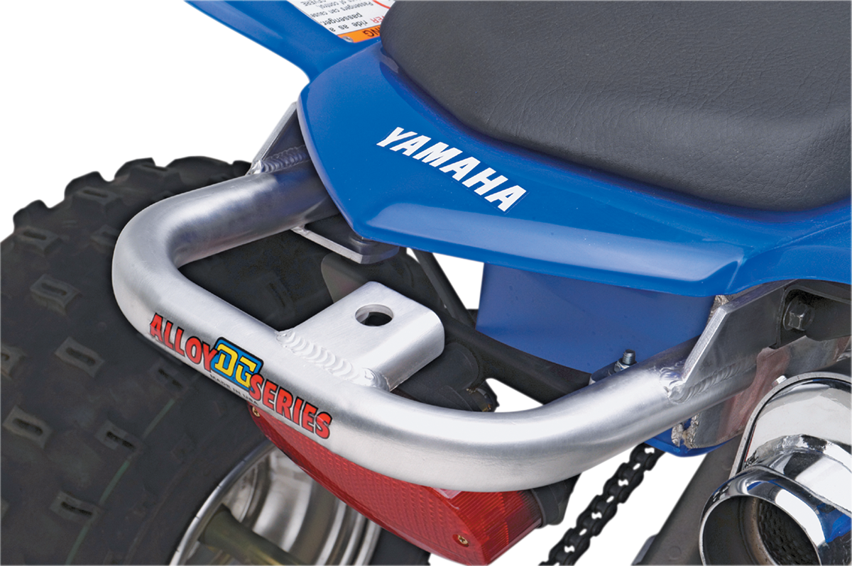 DG PERFORMANCE Baja Ultra-Lite Grab Bars