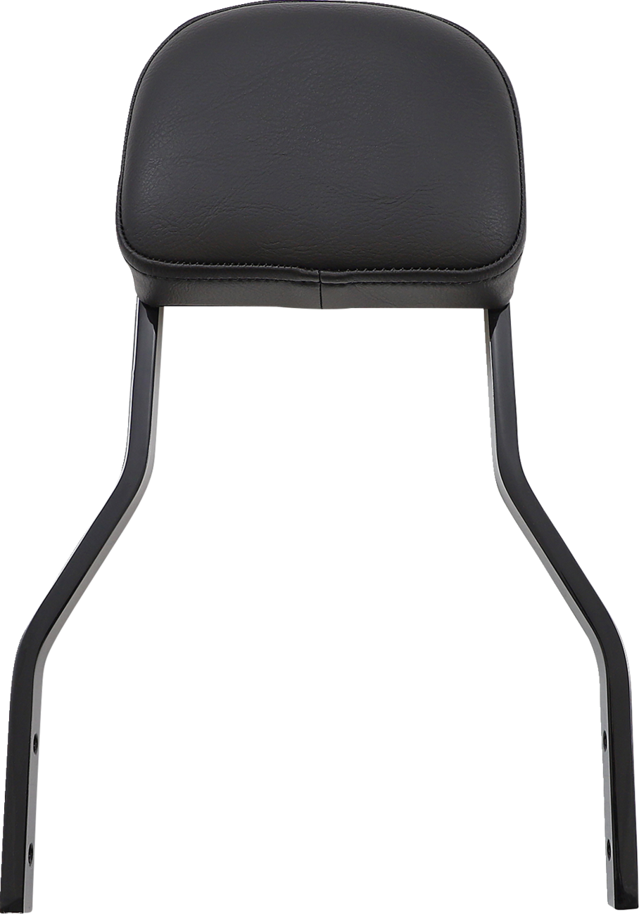 COBRA Detachable Backrest Kit