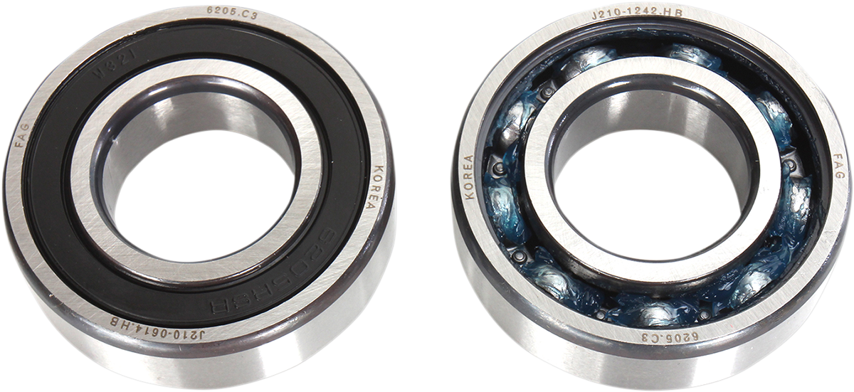 HOT RODS Counter Balancer Bearing Kit