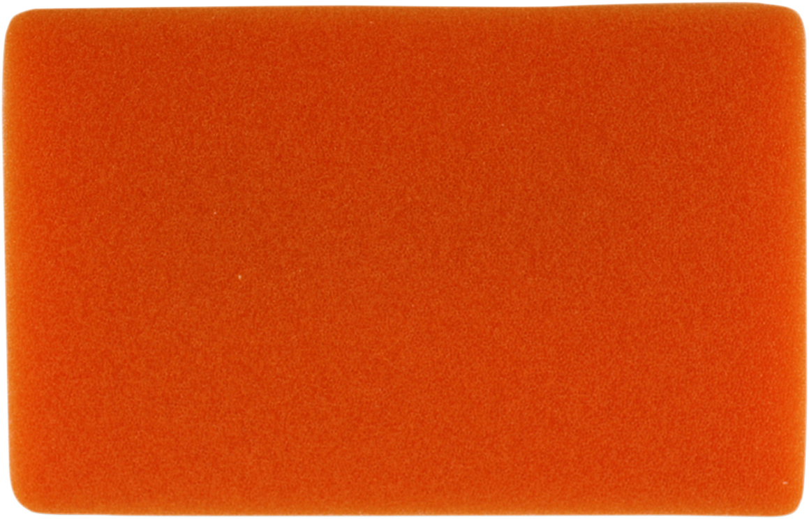 Twin air Standard Air Filter - Yamaha