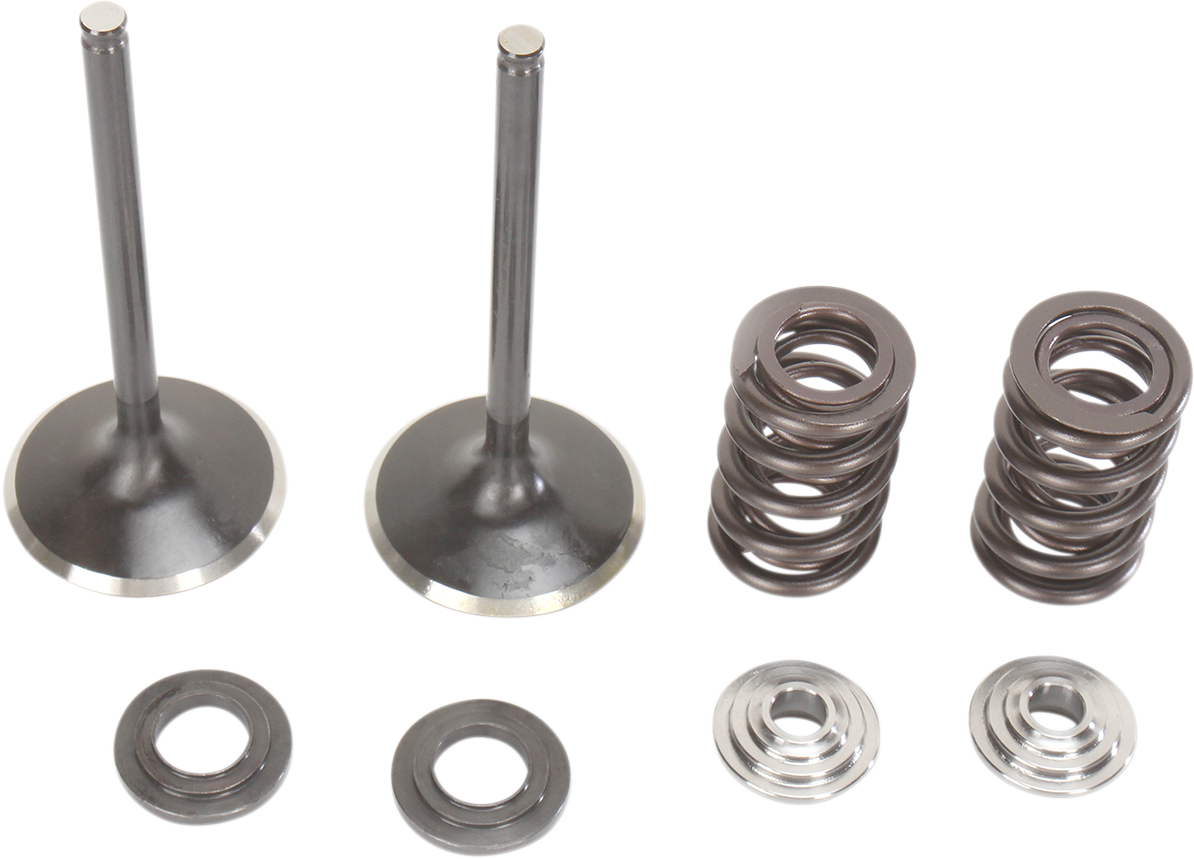 Stainless Intake Valve and Spring Kit