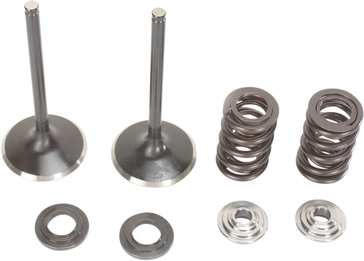 Stainless Intake Valve and Spring Kit