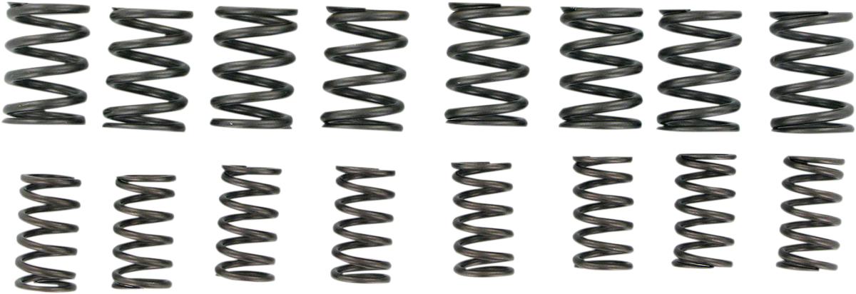 KIBBLEWHITE Valve Springs