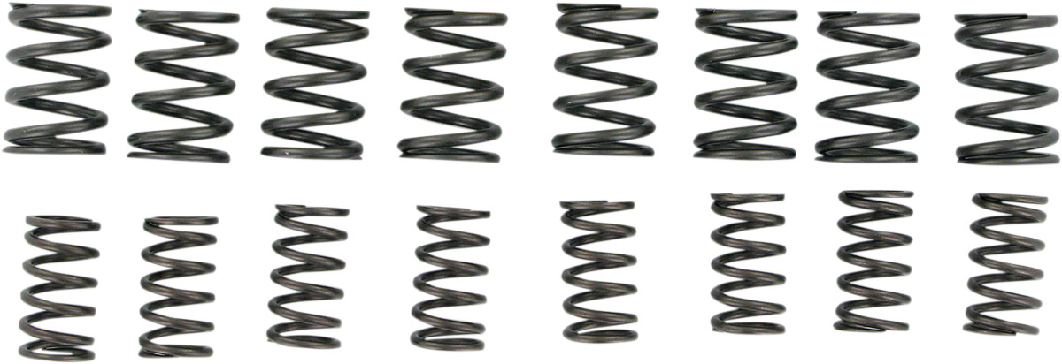 KIBBLEWHITE Valve Springs