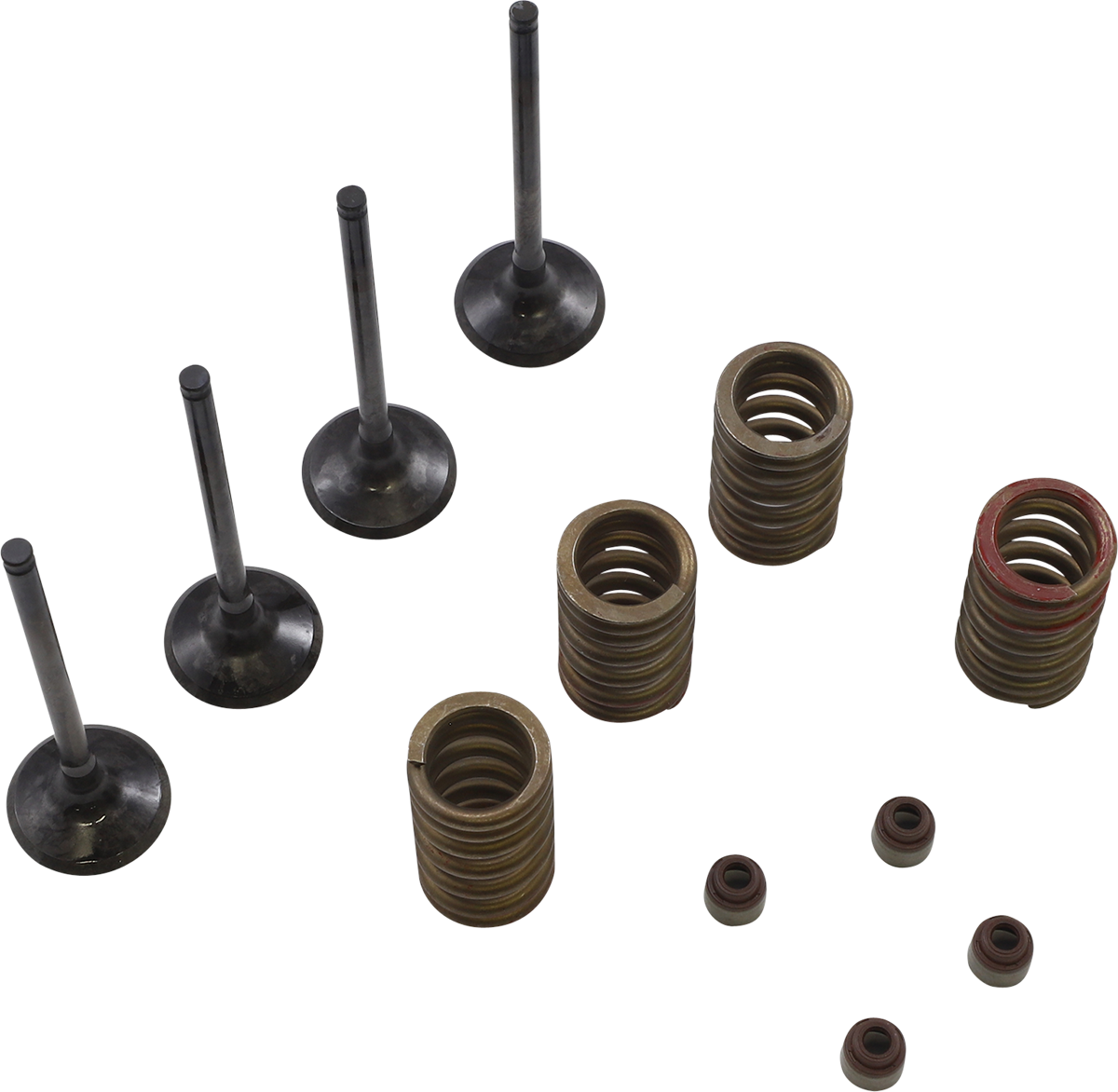 Valve Kit