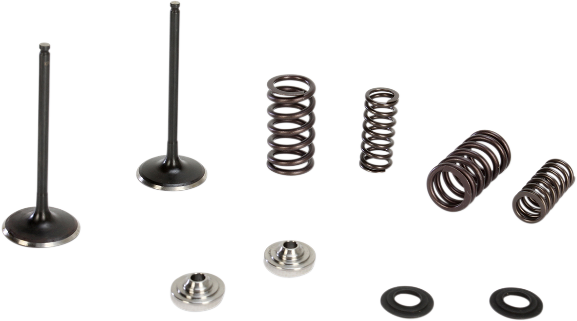KIBBLEWHITE Intake Stainless Conversion Valve and Spring Kit
