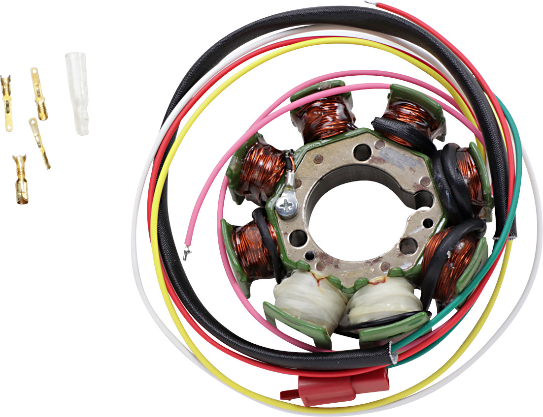 RICK'S MOTORSPORT ELECTRIC OEM Style Stator