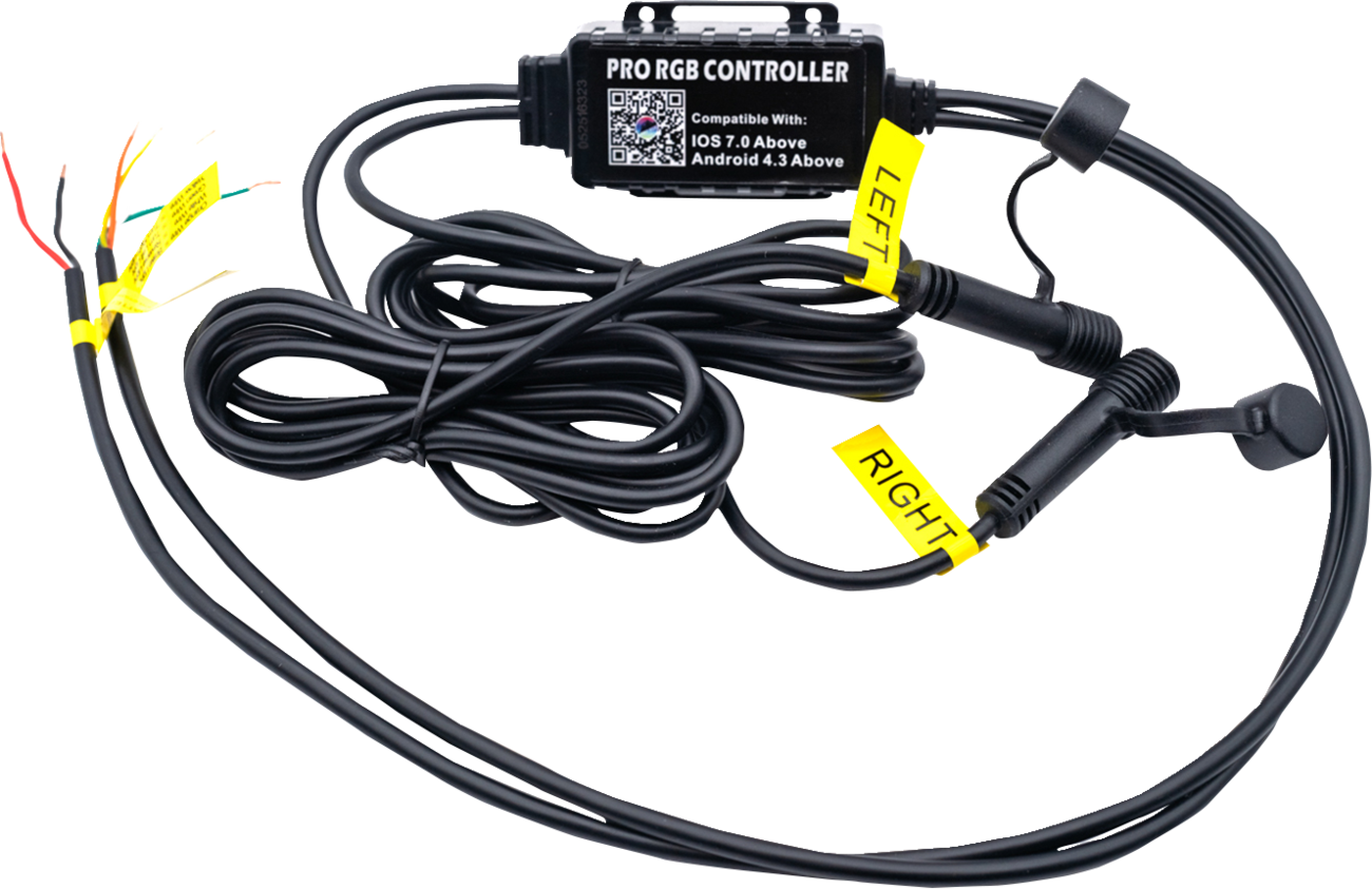BRITE-LITES Whip Light