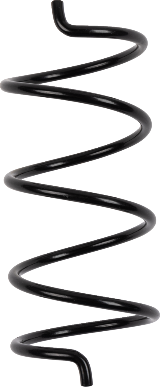 Secondary Clutch Spring