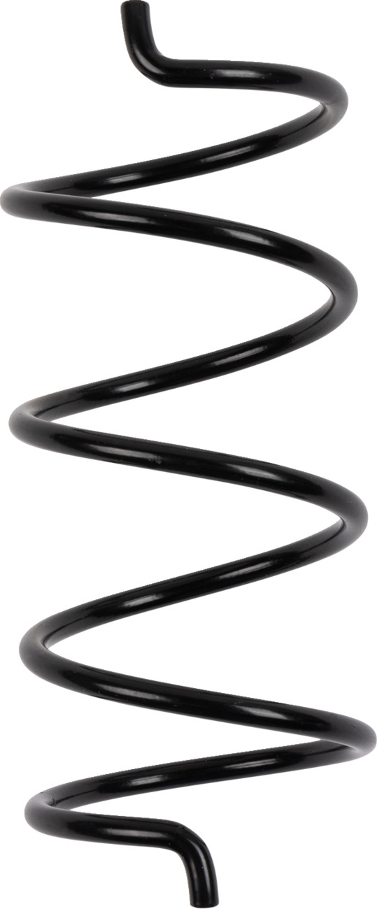 Secondary Clutch Spring