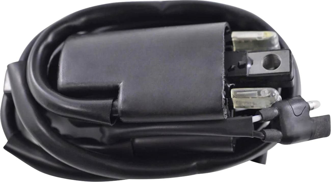 RM STATOR Ignition Coil