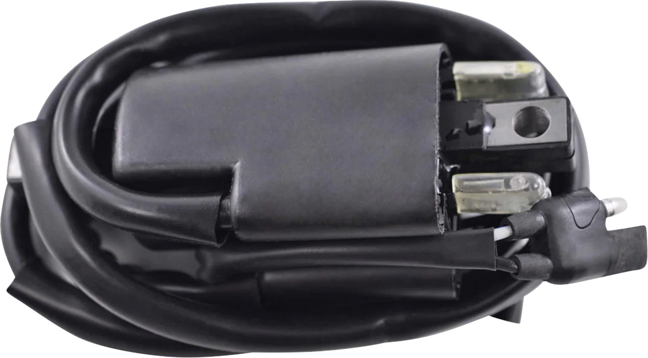 RM STATOR Ignition Coil