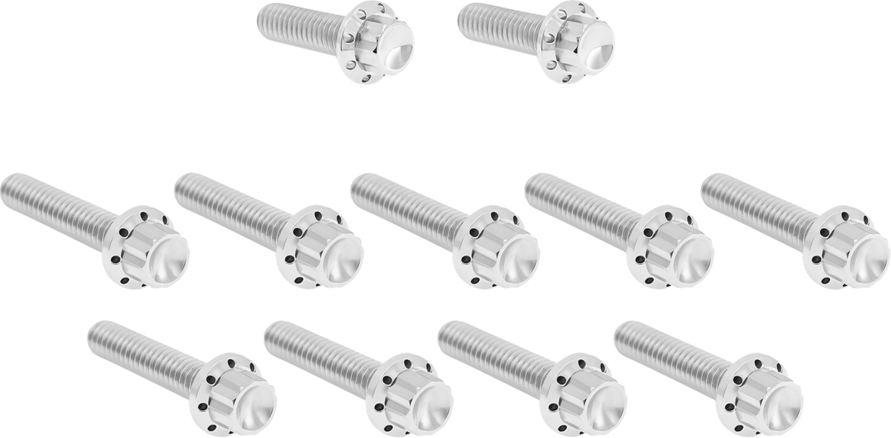 ARLEN NESS Cam Cover/Point Cover Titanium 12-Point Bolt Kit