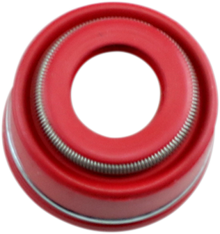 Valve Seals