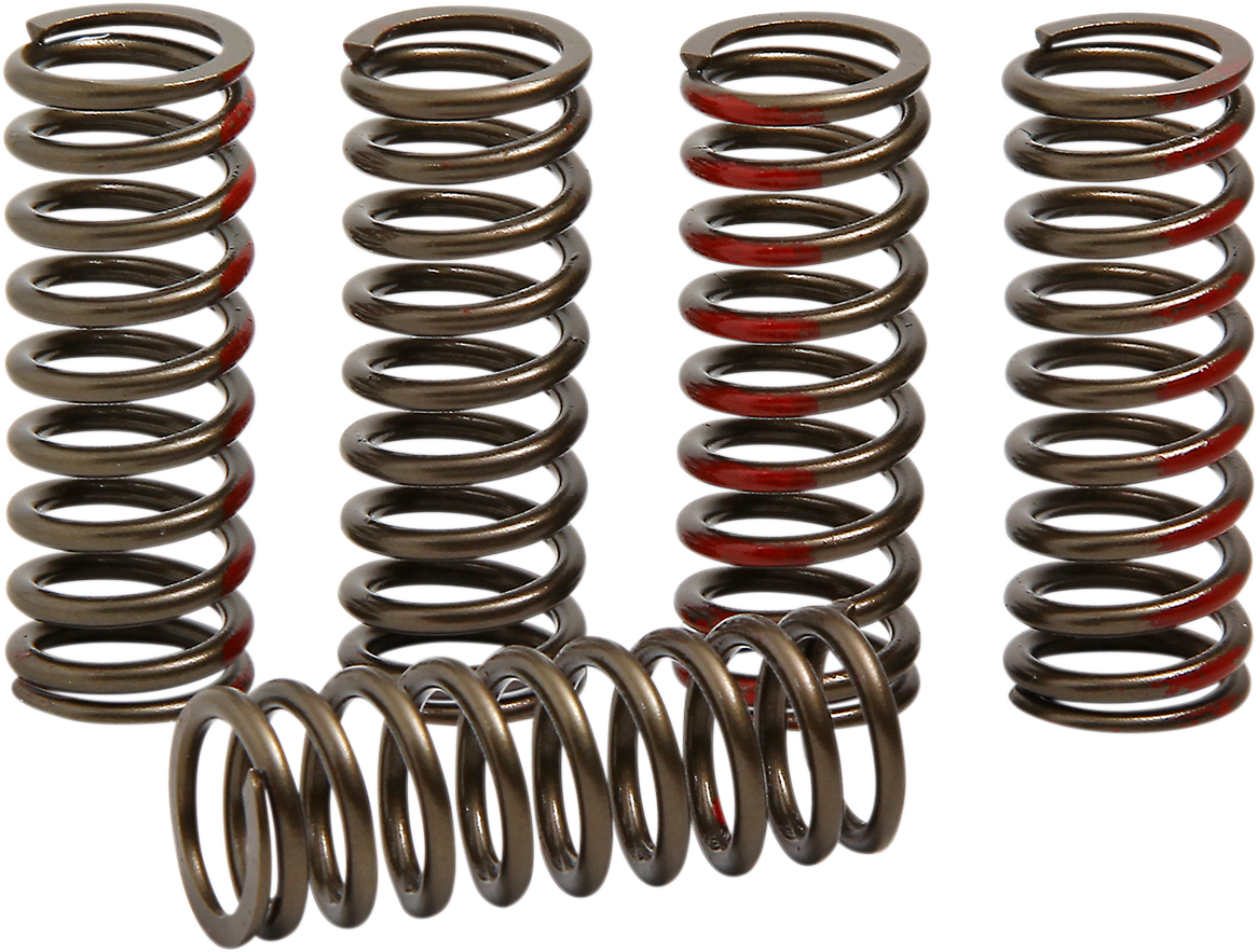 Pro circuit Clutch Springs - CRF 250R 2018-2018 Honda CRF250R