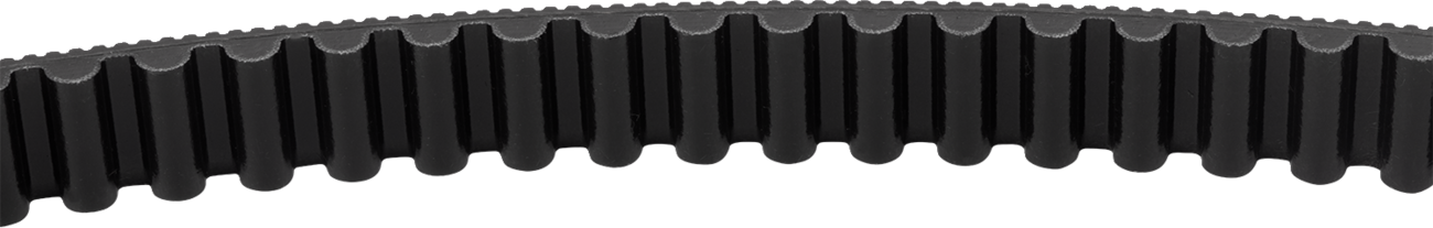 S&S CYCLE Drive Belt