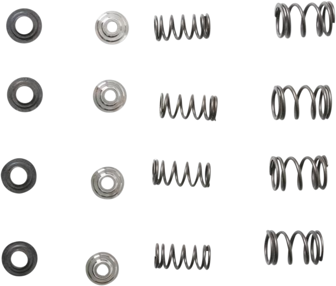 Valve Spring Kit