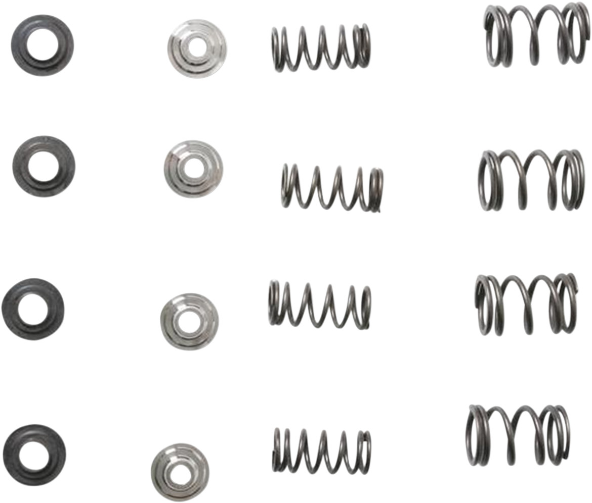 KIBBLEWHITE Valve Spring Kit