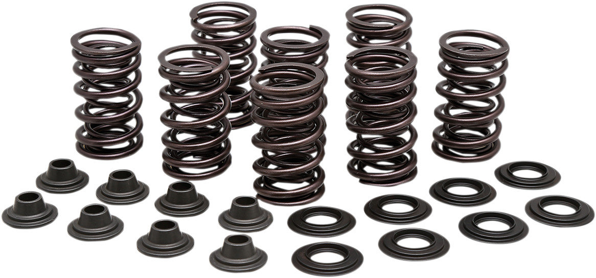 KIBBLEWHITE Valve Spring Kit
