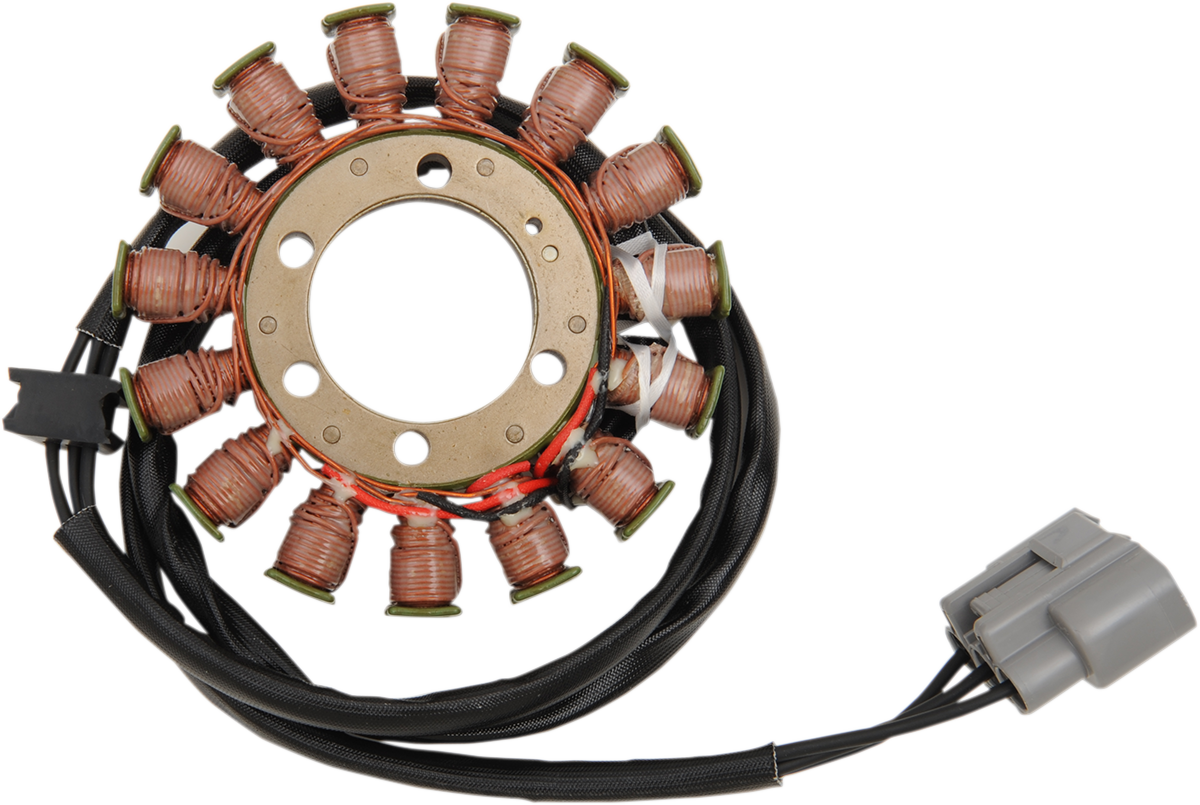 RICK'S MOTORSPORT ELECTRIC Stator