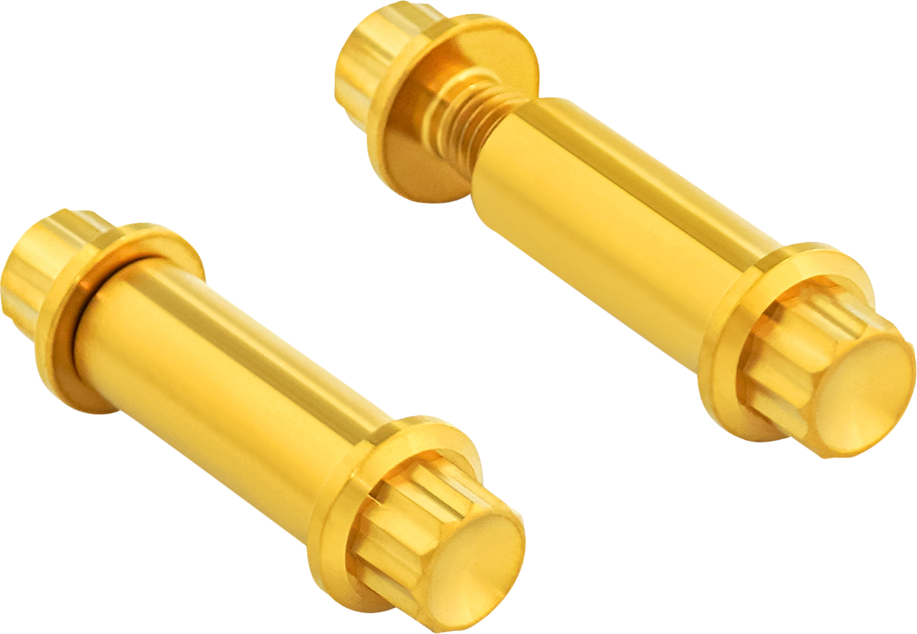 ARLEN NESS Foot Peg Titanium 12-Point Bolt Kit