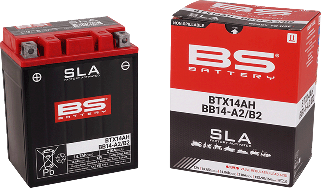 BS BATTERY SLA Factory- Activated AGM Maintenance-Free Battery
