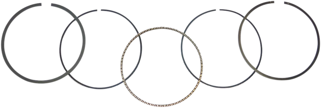 WSM Piston Rings