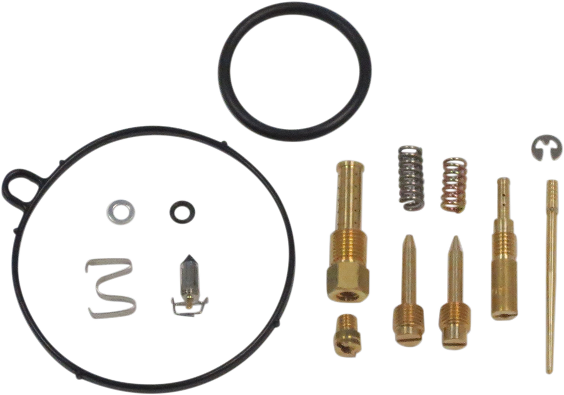 Carburetor Repair Kit