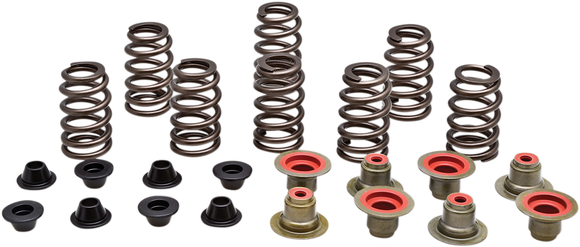 Valve Spring Kit