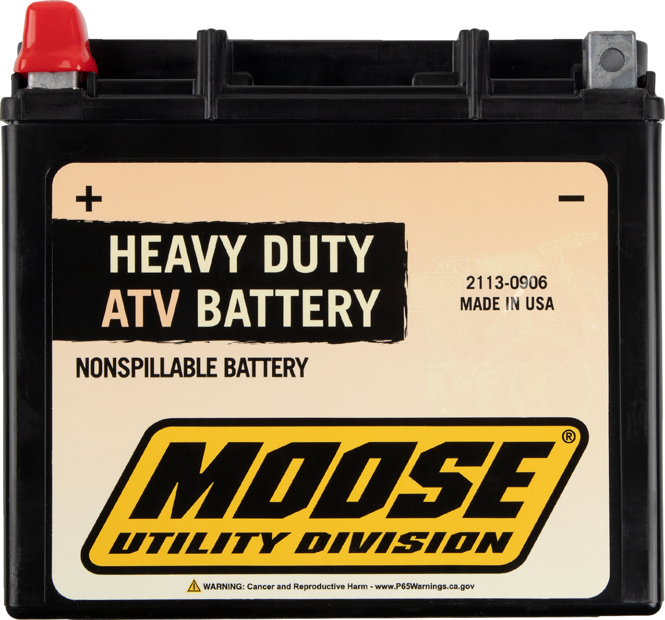 Factory-Activated AGM Maintenance-Free Battery