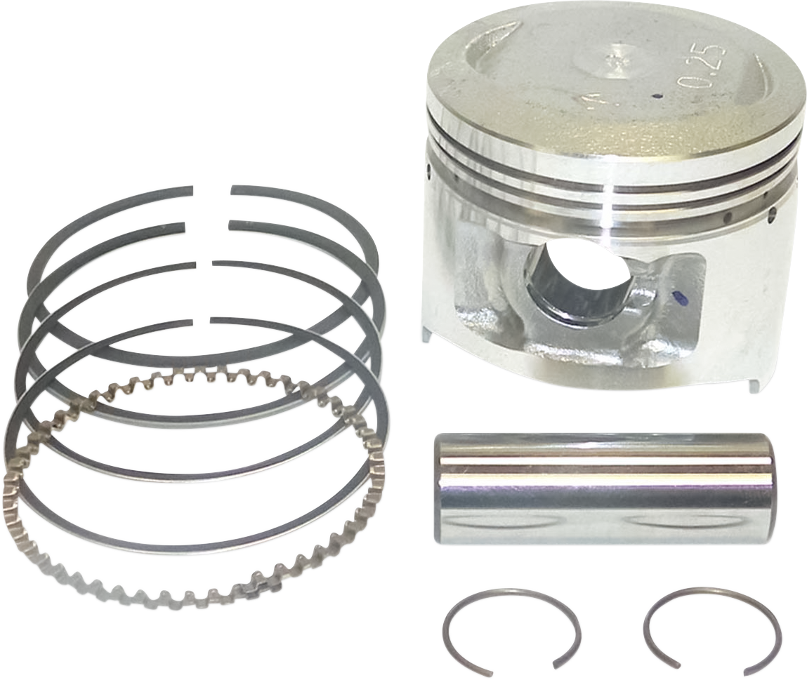 WSM Piston Kit