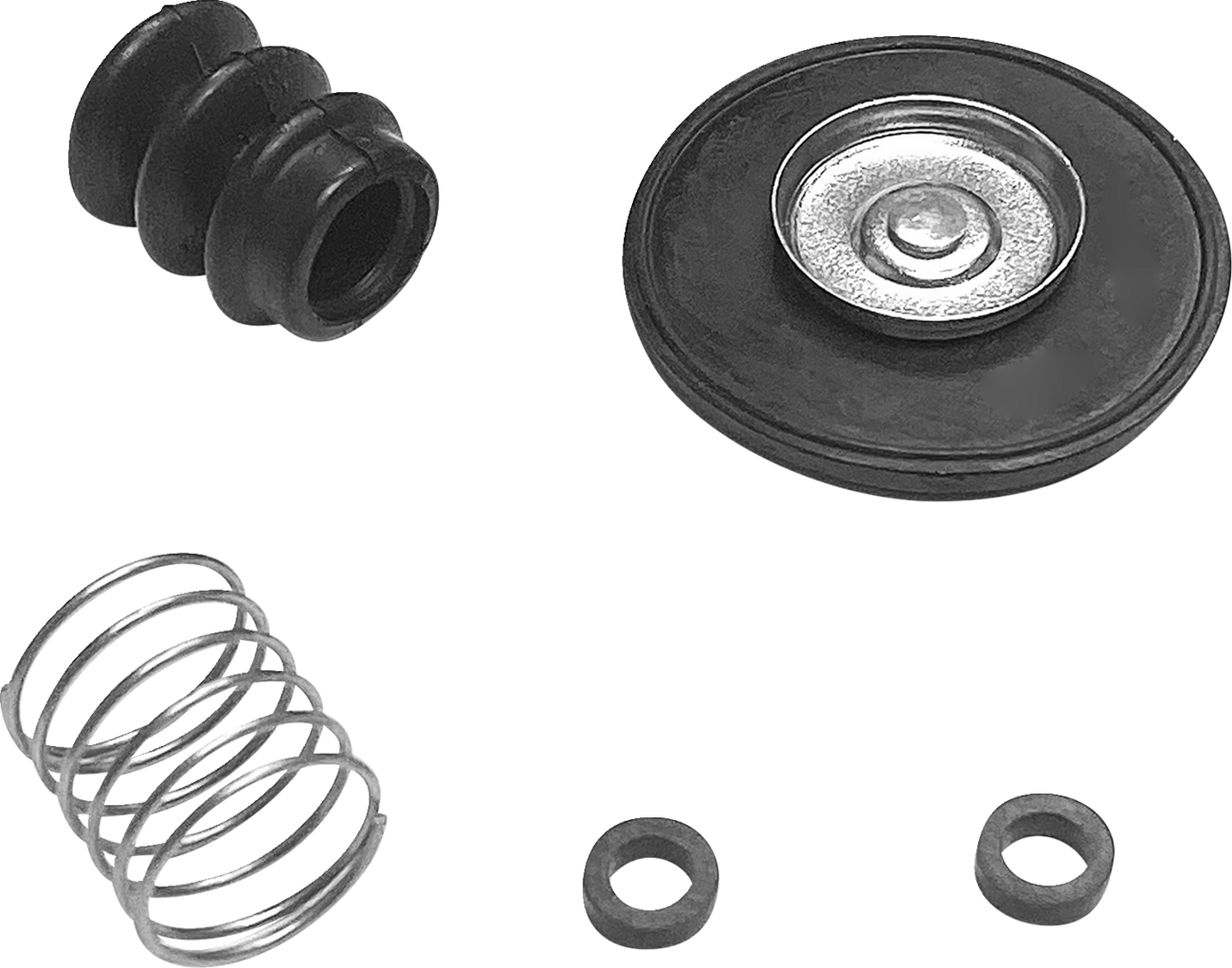 Diaphragm Rebuild Kit