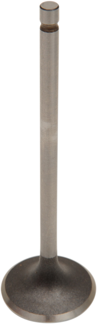 WISECO Intake Valve