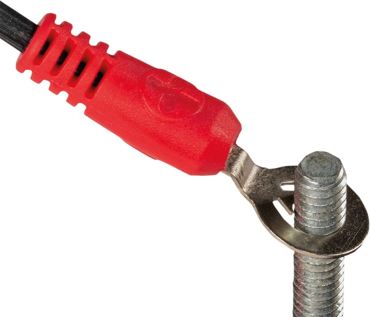 TECMATE 1/4" Eyelet Battery Connection Lead